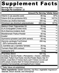 Point Burn — Daily Metabolism Capsules